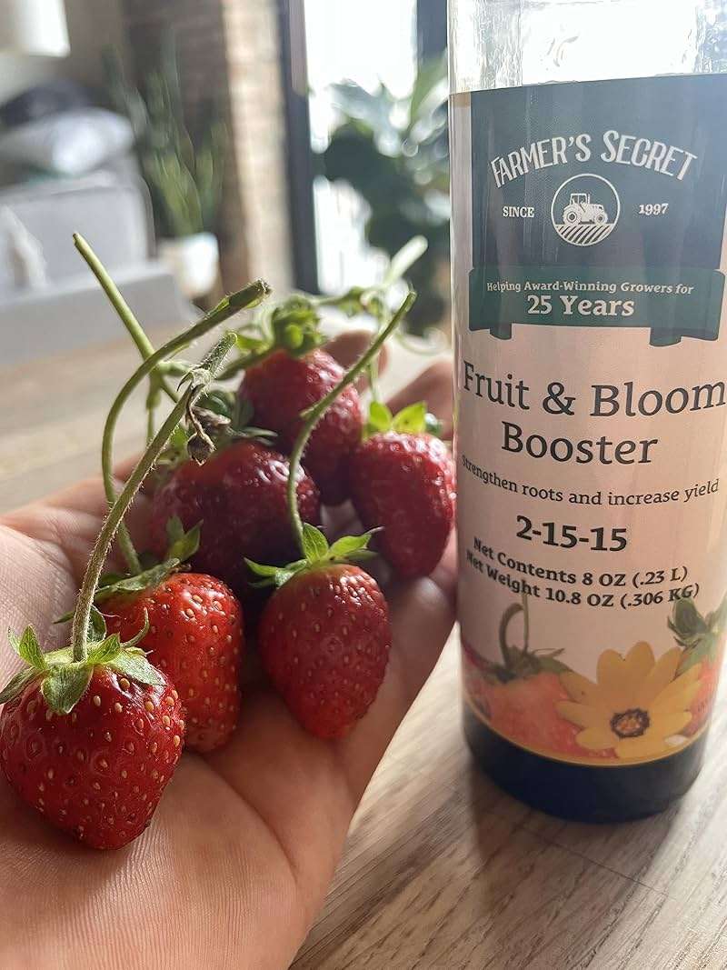 Farmer’s Secret Fruit & Bloom Booster Fertilizer - Super Concentrated - Boosts Flowering and Yield on All Varieties of Fruits, Vegetables and Flowers (8oz) - Image 7