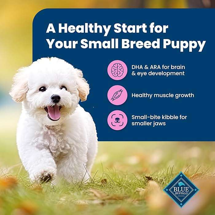 Blue Buffalo Life Protection Formula Small Breed Puppy Dry Dog Food with DHA, Vital Nutrients & Antioxidants, Made with Natural Ingredients, Chicken & Oatmeal Recipe, 5-lb Bag - Image 4