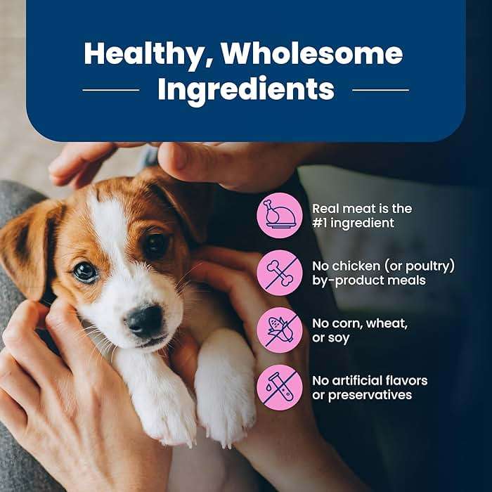 Blue Buffalo Life Protection Formula Small Breed Puppy Dry Dog Food with DHA, Vital Nutrients & Antioxidants, Made with Natural Ingredients, Chicken & Oatmeal Recipe, 5-lb Bag - Image 5