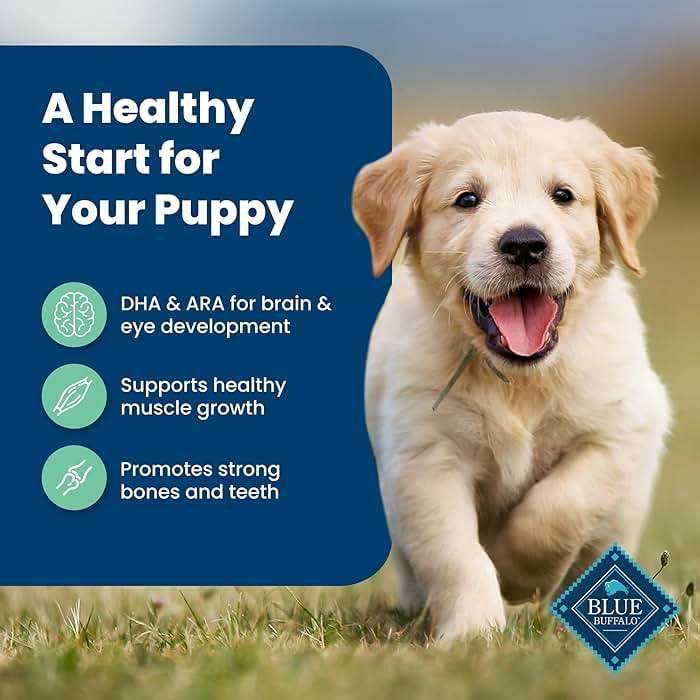 Blue Buffalo Life Protection Formula Lamb & Oatmeal Puppy Dry Dog Food with DHA & ARA, Supports Immunity with Antioxidant-Rich LifeSource Bits, Promotes Healthy Muscles & Strong Bones, 5 lbs. - Image 4