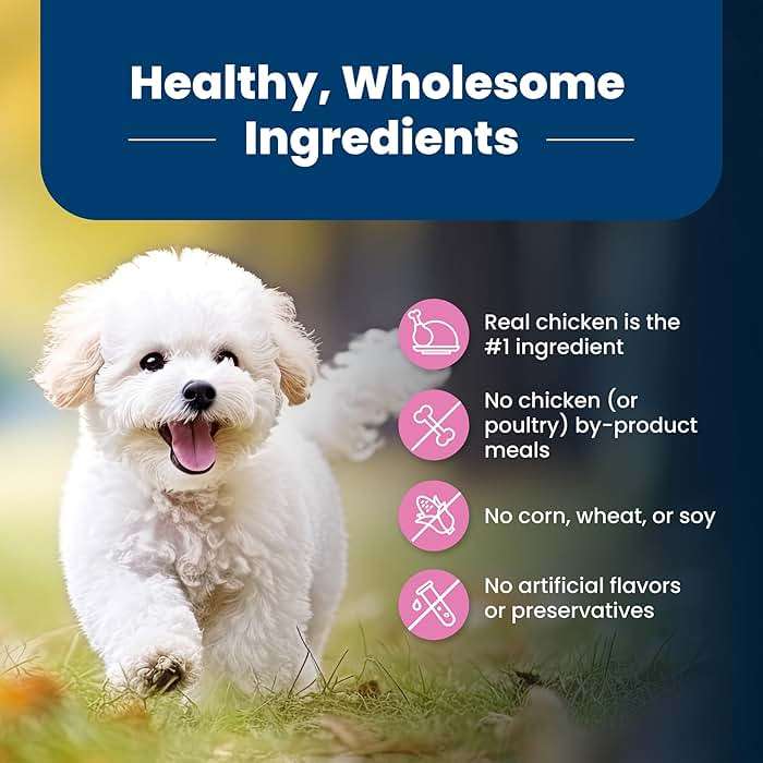 Blue Buffalo Life Protection Formula Chicken & Brown Rice Small Breed Adult Dry Dog Food, Supports Immunity with Antioxidant-Rich LifeSource Bits, Promotes Healthy Muscles, Skin & Coat Health, 5 lbs. - Image 7