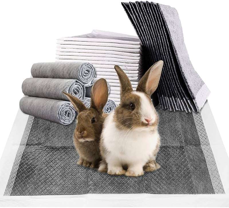 Fhiny Rabbit Pee Pads, 13" x 18" 100 PCS Disposable Bunny Pads Charcoal Leak-Proof Super Absorbent Potty Training Pad with Quick-Dry Surface for Dogs Puppies Cats Kittens or Small Pets - Image 1