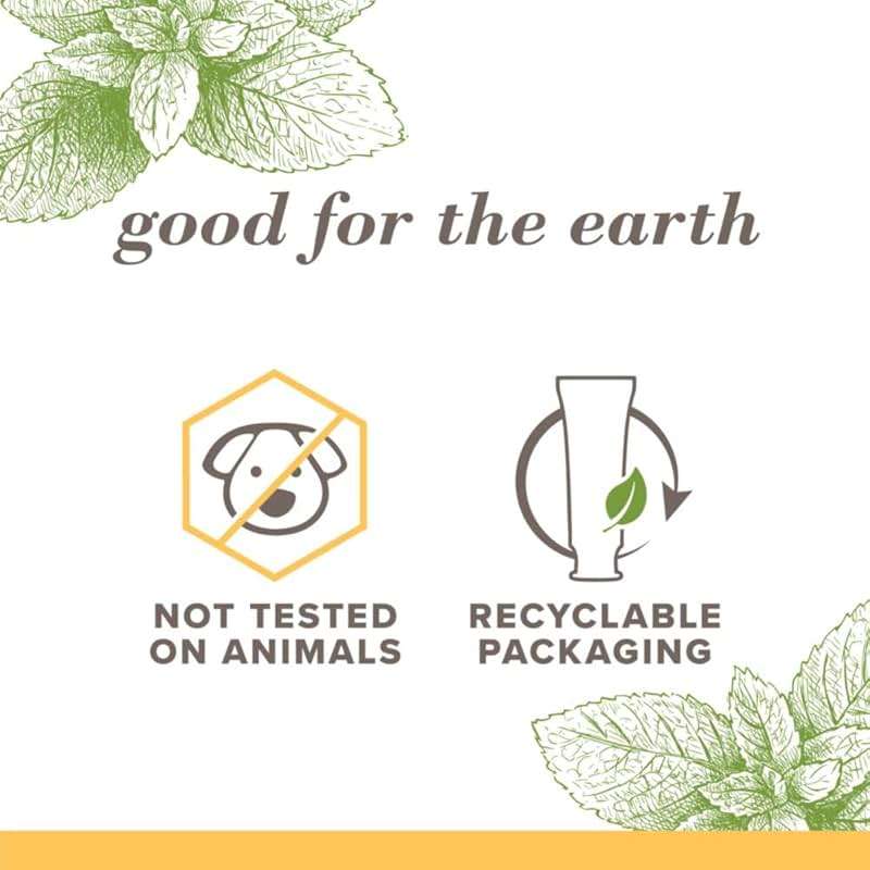 Burt's Bees Toothpaste, Natural Flavor, Fluoride-Free, Purely White, Zen Peppermint, 4.7 oz, Pack of 3 - Image 2