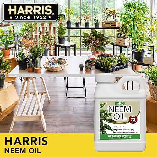 HARRIS Neem Oil Cold Pressed Water Soluble Concentrate, Makes 12 Gallons - Image 2