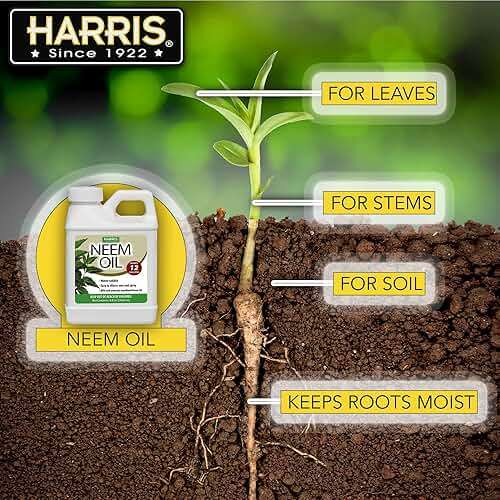 HARRIS Neem Oil Cold Pressed Water Soluble Concentrate, Makes 12 Gallons - Image 4