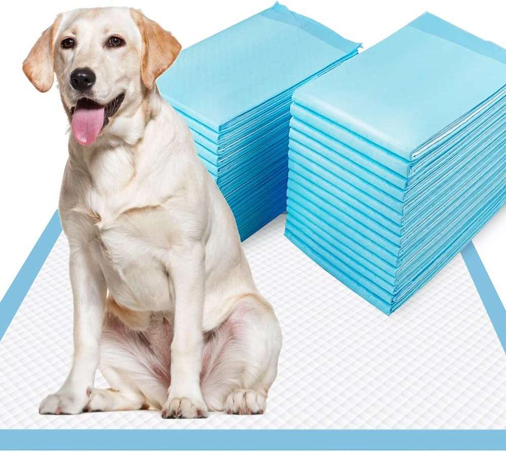 Dogcator XL Puppy Pads 40 Count, Thicken Pee Pads for Dogs, 28"x34" Dog Pee Pads Extra Large, Disposable Urine Bed Pads for Doggy, Potty Pads for Doggie, Large Dog Pads, Piddle Pads X-Large - Image 1
