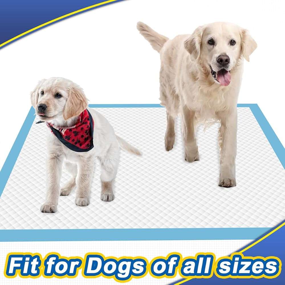 Dogcator XL Puppy Pads 40 Count, Thicken Pee Pads for Dogs, 28"x34" Dog Pee Pads Extra Large, Disposable Urine Bed Pads for Doggy, Potty Pads for Doggie, Large Dog Pads, Piddle Pads X-Large - Image 6