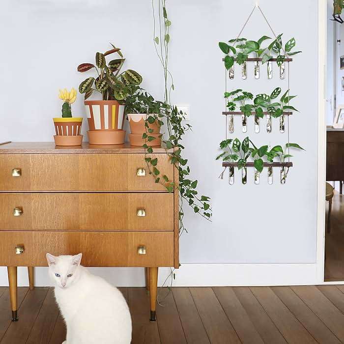XXXFLOWER Wall Hanging Propagation Station with Wooden Stand 5 Glass Test Tubes 3 Tiered Planters Wall Terrarium for Home Office Plant Hanger Flower Vases Wall Decor Hydroponic Cuttings - Image 2