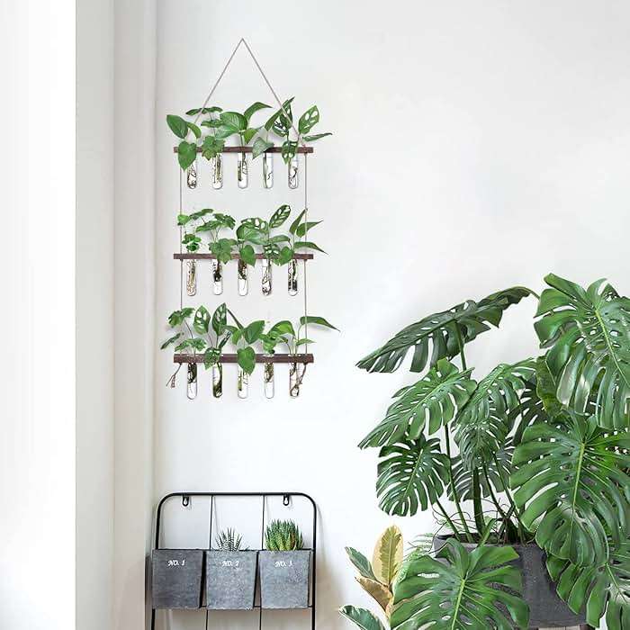 XXXFLOWER Wall Hanging Propagation Station with Wooden Stand 5 Glass Test Tubes 3 Tiered Planters Wall Terrarium for Home Office Plant Hanger Flower Vases Wall Decor Hydroponic Cuttings - Image 8