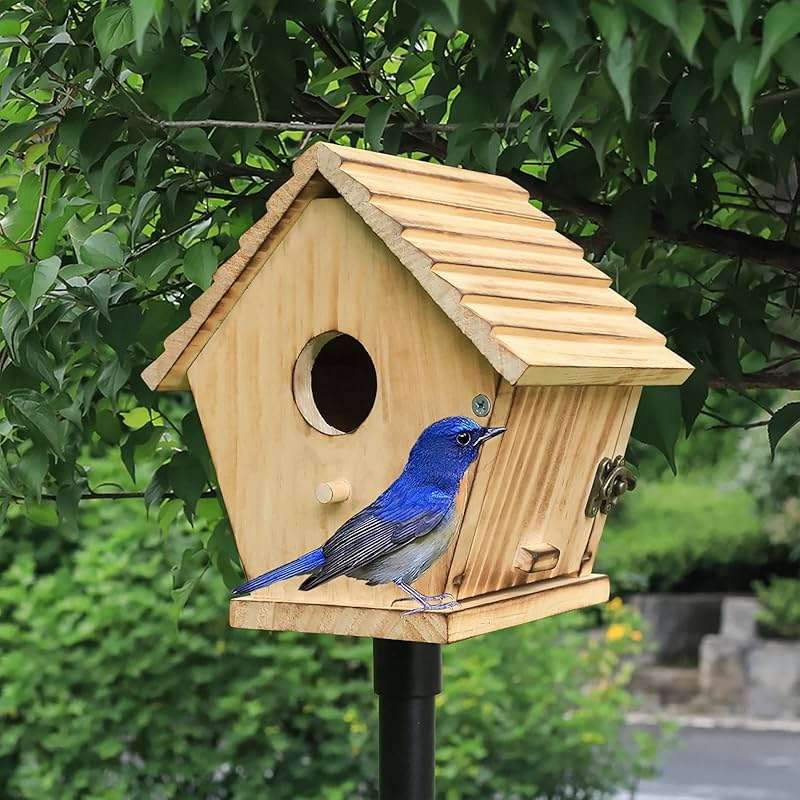 STARSWR Bird House,Outdoor Bluebird House for Outside Clearance,Wooden Birdhouse Finch Cardinals Hanging Birdhouse Nesting Box for Wild Bird Viewing - Image 7