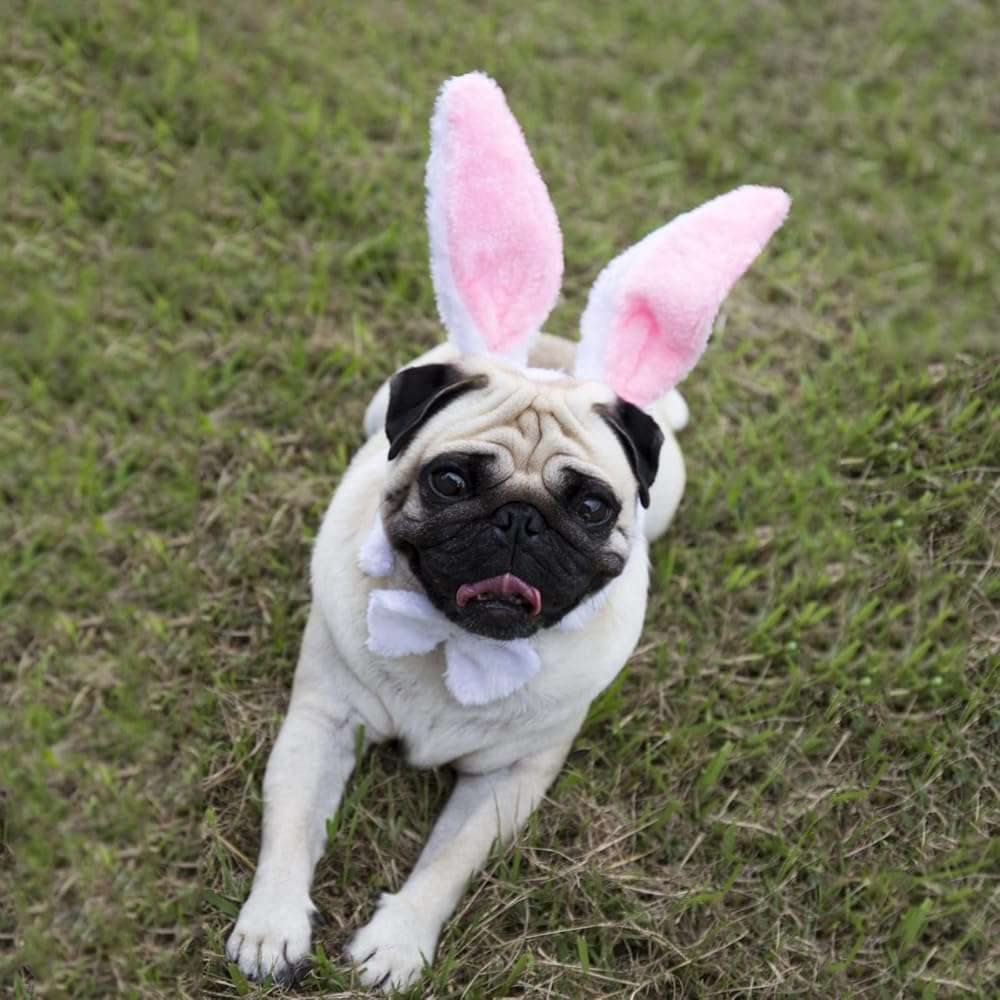 JIALWEN Easter Bunny Ears Set, 3 Piece Plush Rabbit Ears Headband Bow Tie and Tail for Halloween Cosplay Party Dress Up Accessories (White + Pink) - Image 7