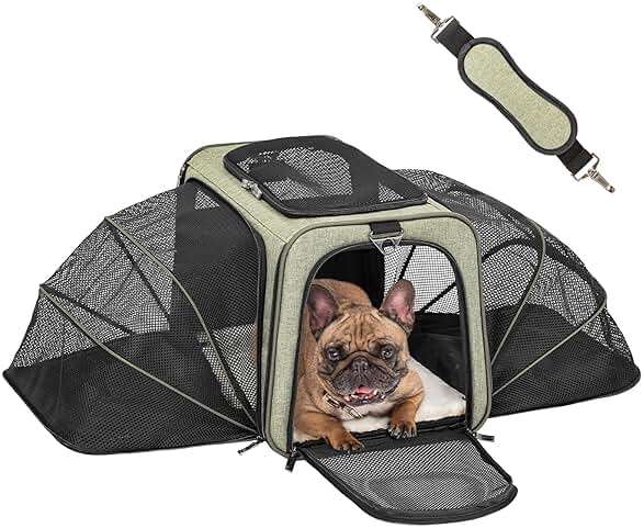 Petsfit Expandable Cat Carrier Dog Carrier, Soft-Sided Portable Pet Travel Carrier, Removable Soft Plush mat and Pockets, Locking Safety Zippers, 19x12x12 Inches - Image 1