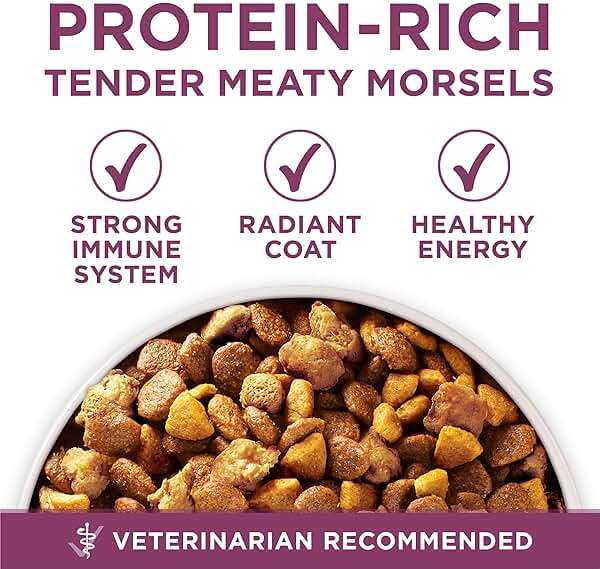 Purina ONE Plus Healthy Puppy Formula High Protein Natural Dry Puppy Food with added vitamins, minerals and nutrients - 31.1 lb. Bag - Image 2