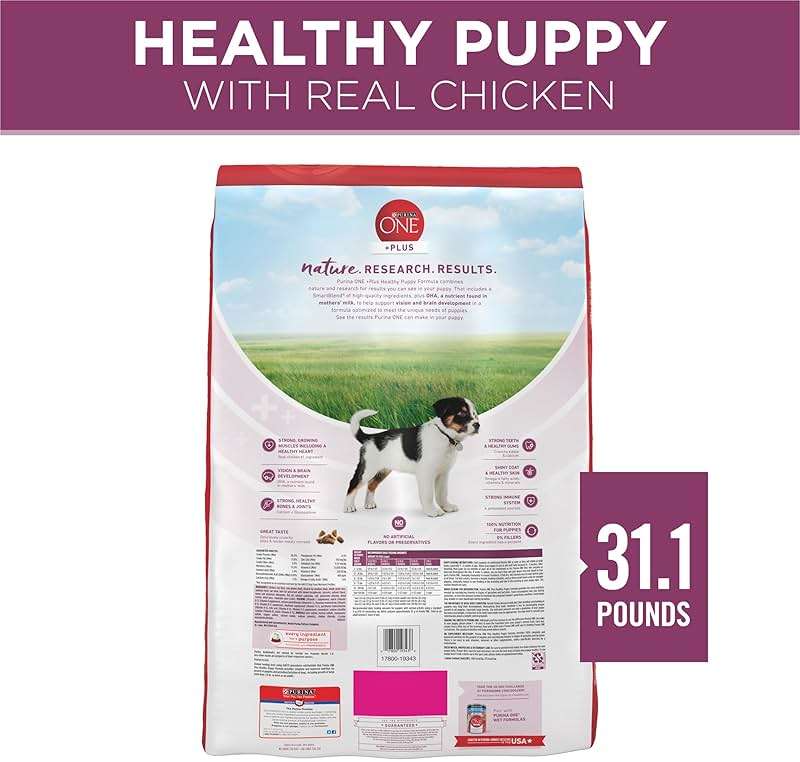 Purina ONE Plus Healthy Puppy Formula High Protein Natural Dry Puppy Food with added vitamins, minerals and nutrients - 31.1 lb. Bag - Image 6