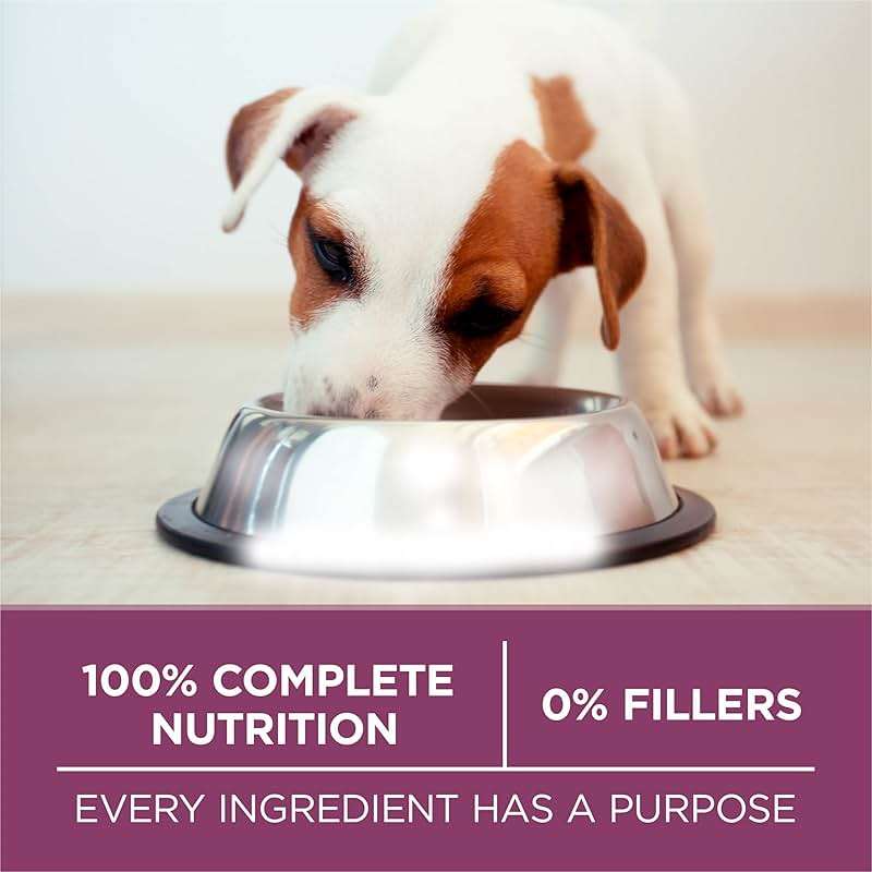 Purina ONE Plus Healthy Puppy Formula High Protein Natural Dry Puppy Food with added vitamins, minerals and nutrients - 31.1 lb. Bag - Image 7