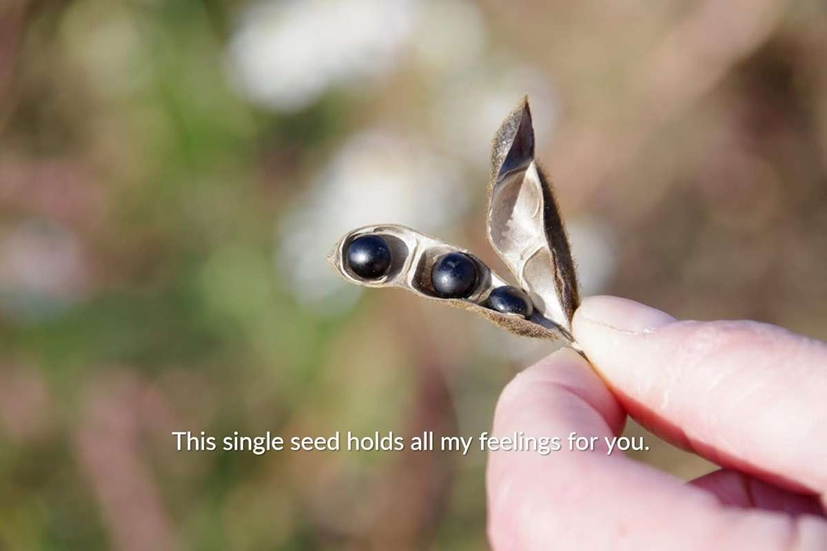 Kurosengoku roasted soybean flour 3.5oz. Precious black soybeans from Hokkaido, Japan. For health conscious and vegans. GMO-free, no MSG, additive-free and gluten-free. (1 pacs) | Precious black soybeans from Hokkaido. For health conscious and vegans. GMO-free, no MSG, additive-free and gluten-free. - Image 5