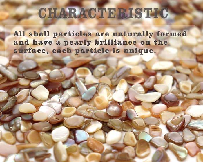 Small Mini Natural Crushed Mother of Pearl Shells for Weddings Vase Filler Home Décor, and Crafts 32 oz (2 lb), Colorful - Image 4