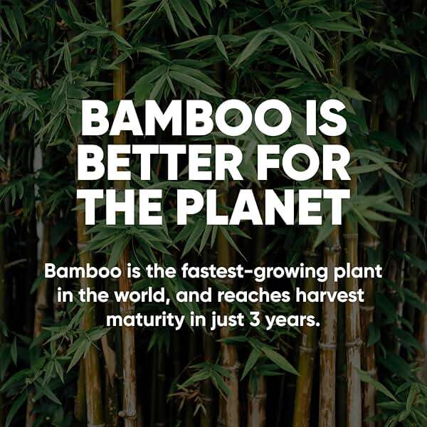 Save Trees Bamboo Toilet Paper -24 Rolls Of Septic Safe Organic Toilet Paper 3-ply, 300 Sheets Per Roll - PFAs Free, FSC Certified, Plastic & Chemical Free - For Home, Boat & RV Use - Image 8