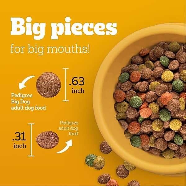 Pedigree Large Breed Dry Dog Food for Large Dogs, Roasted Chicken, Rice and Vegetable Flavor, 16 lb. Bag - Image 3