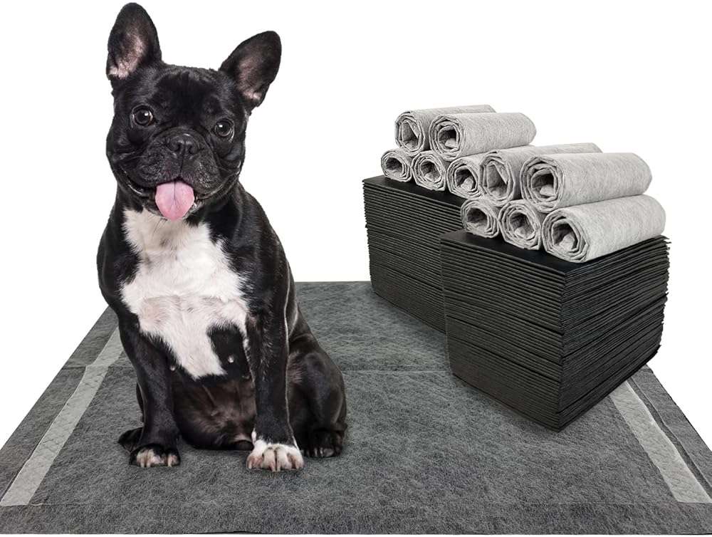 Dogcator Charcoal Dog Training Pads 100 Count, 22"x22" Puppy Pee Pads for Small Dogs, Activated Carbon Dog Pee Pads, Disposable Puppy Pads Pet Training Pads - Image 1
