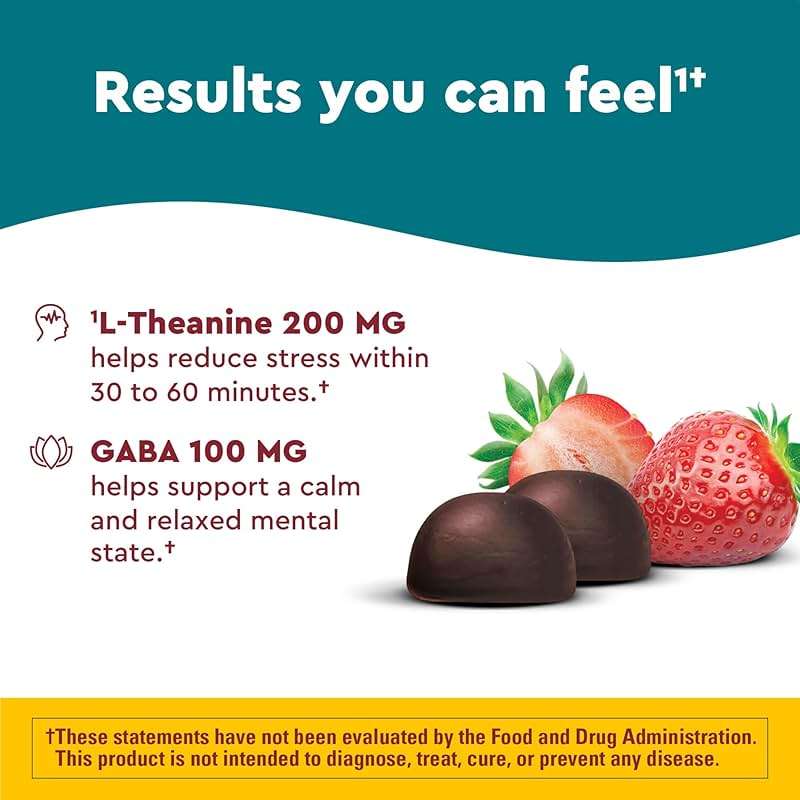 Nature Made Wellblends Stress Relief Gummies, L theanine 200mg to Help Reduce Stress, with GABA 100mg, Same Day Stress Support, 40 Strawberry Flavor Gummies - Image 4