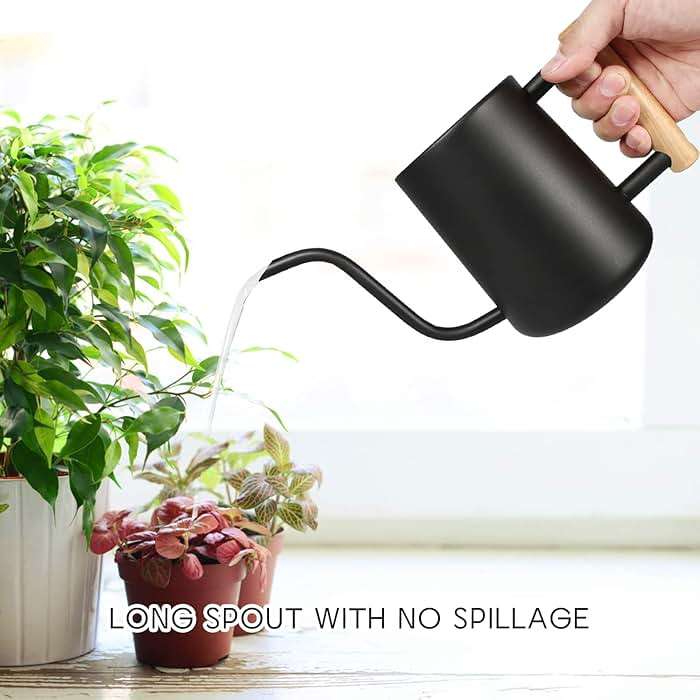 Watering Can for Indoor Plants, 35 oz/1000 ml Metal Stainless Steel Pot with Long Spout for House Plants Bonsai Outdoor Garden Flower Decorative (Black) - Image 4