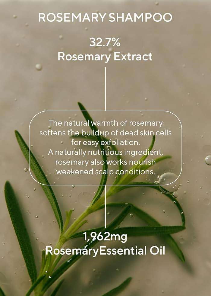 AROMATICA Rosemary Scalp Scaling Shampoo and Conditioner Set 13.53 fl.oz each – Vegan Korean Hair Care Gift Set for Woman with Rosemary Oil. Sulfate Free Shampoo Conditioner For Hair Growth - Image 4