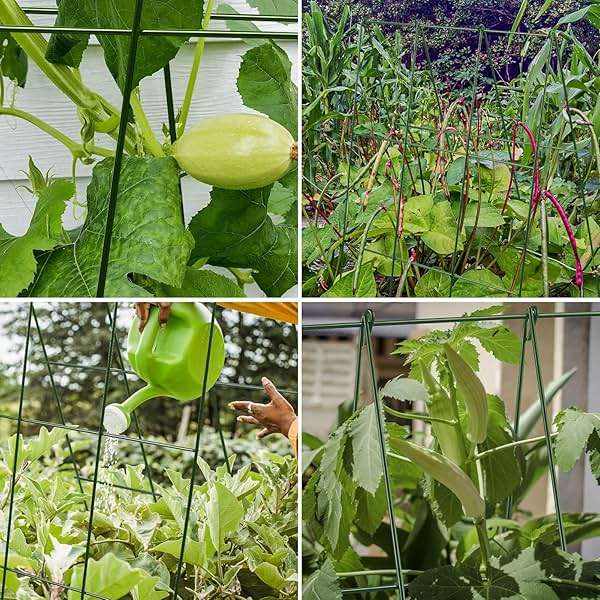 Kyrieval 48" Hx 18" L Cucumber Trellis for Garden A Frame Plant Support for Raised Bed, Outdoor Indoor Plant Garden Trellis for Climbing Plants (2 Packs) - Image 7