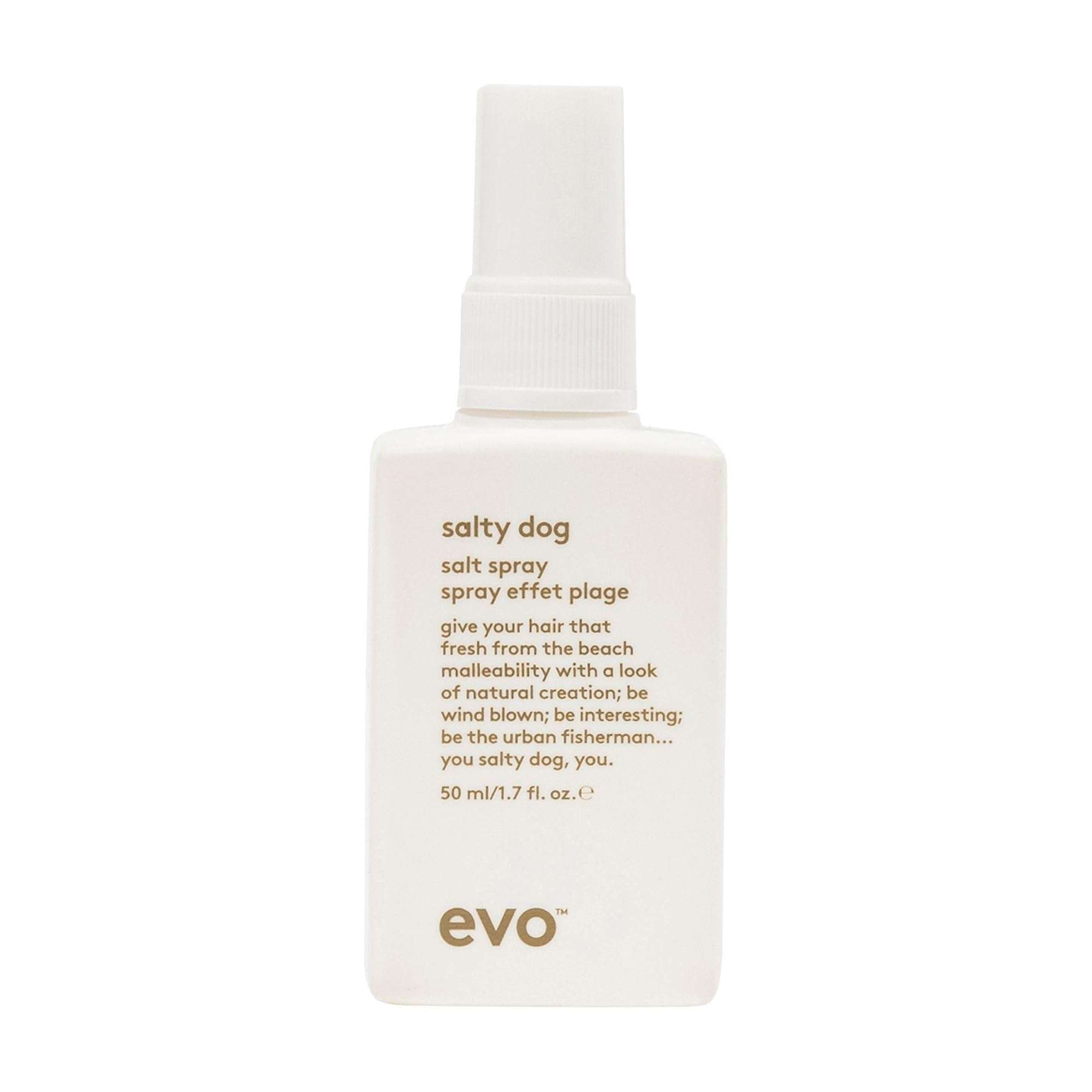 EVO Salty Dog Salt Spray - Hair Texture & Volume Spray - Beach Textured Hair, Natural Matte Finish - Image 1