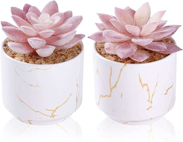 ZENIDA Artificial Plants and Succulents in 2 White Ceramic Pots,Small Fake Plants for Office and Desk Decor,Bathroom, Bedroom,Shelves for Women - Image 1