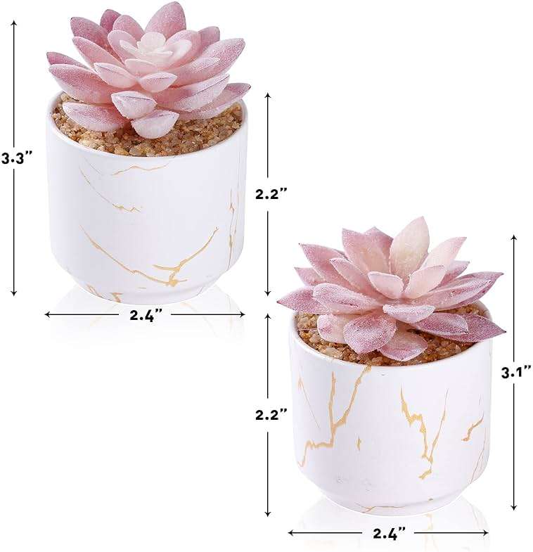 ZENIDA Artificial Plants and Succulents in 2 White Ceramic Pots,Small Fake Plants for Office and Desk Decor,Bathroom, Bedroom,Shelves for Women - Image 3