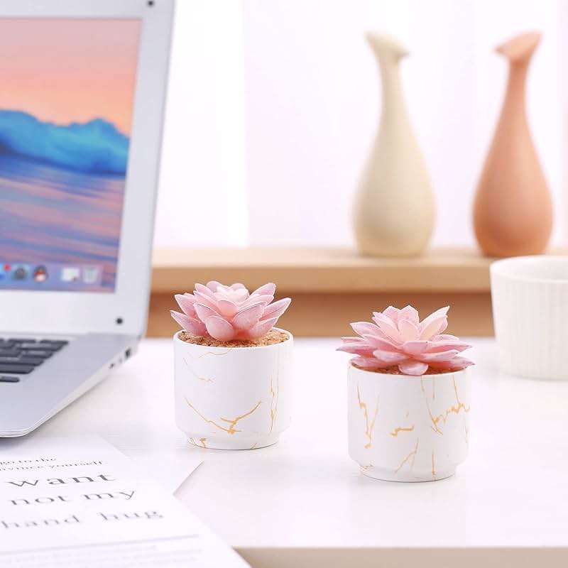 ZENIDA Artificial Plants and Succulents in 2 White Ceramic Pots,Small Fake Plants for Office and Desk Decor,Bathroom, Bedroom,Shelves for Women - Image 5