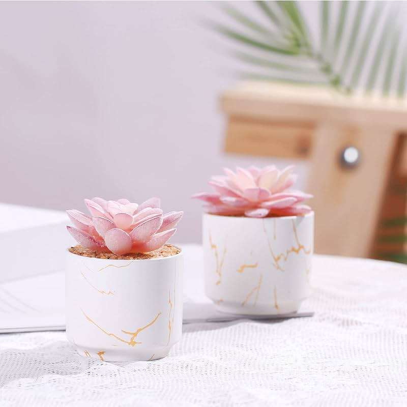 ZENIDA Artificial Plants and Succulents in 2 White Ceramic Pots,Small Fake Plants for Office and Desk Decor,Bathroom, Bedroom,Shelves for Women - Image 6