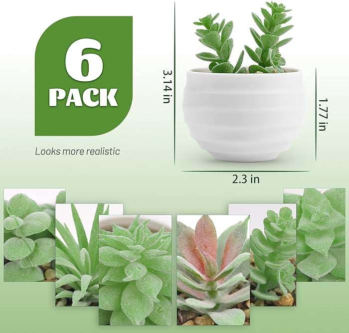 Der Rose Set of 6 Succulents Plants Artificial in Pots Small Fake Plants for Bedroom Aesthetic Living Room Shelf Bathroom Decor Office Desk Accessories - Image 3