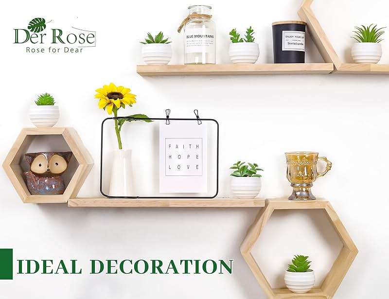 Der Rose Set of 6 Succulents Plants Artificial in Pots Small Fake Plants for Bedroom Aesthetic Living Room Shelf Bathroom Decor Office Desk Accessories - Image 4