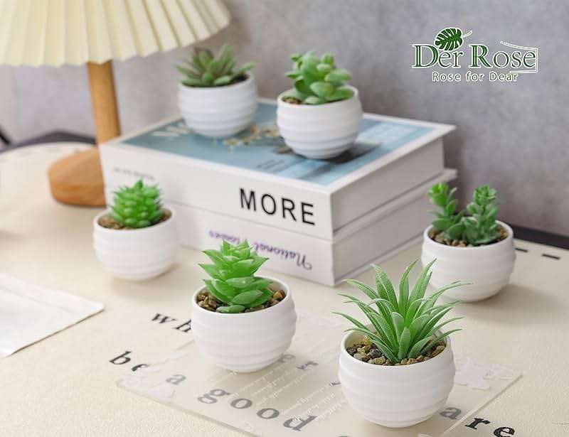 Der Rose Set of 6 Succulents Plants Artificial in Pots Small Fake Plants for Bedroom Aesthetic Living Room Shelf Bathroom Decor Office Desk Accessories - Image 6