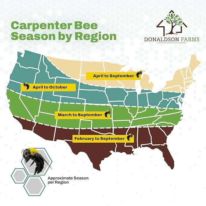 Donaldson Farms Carpenter Bee Repellent Spray – Nature-Derived, Eco-Friendly Protection for Decks, Fences & Outdoor Wood & Furniture from Bees with Citrus, Peppermint & Almond Oils, Made in USA – 8 oz - Image 5