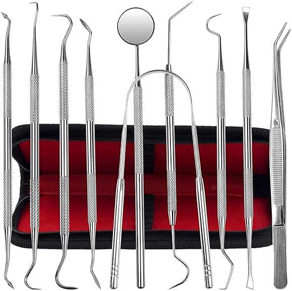 Dental Kit Tools, 10 Pack Stainless Steel Plaque Remover, Dental Tools to Remove Plaque and Tartar, Oral Care Kit with Plaque Cleaner, Tartar Pick, Tooth & Tongue Scraper for Dentist, Personal, Family - Image 1