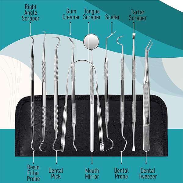 Dental Kit Tools, 10 Pack Stainless Steel Plaque Remover, Dental Tools to Remove Plaque and Tartar, Oral Care Kit with Plaque Cleaner, Tartar Pick, Tooth & Tongue Scraper for Dentist, Personal, Family - Image 4
