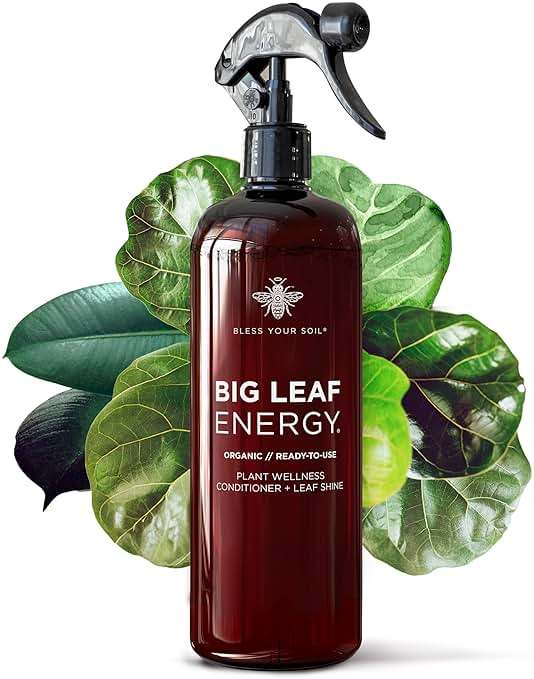 Neem Oil Spray for Plants – Big Leaf Energy + Essential Oils – Ready to Use Organic Plant Wash to Protect Outdoor & Indoor Plants, Made in USA (16 fl oz) - Image 1