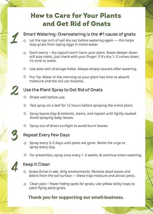 Kate's Garden Plant Spray for Insects & Getting Rid of Gnats. Fungus Gnat Killer & Bug Spray for Indoor Plants (16oz, Pet Safe, Non Toxic) - Image 3