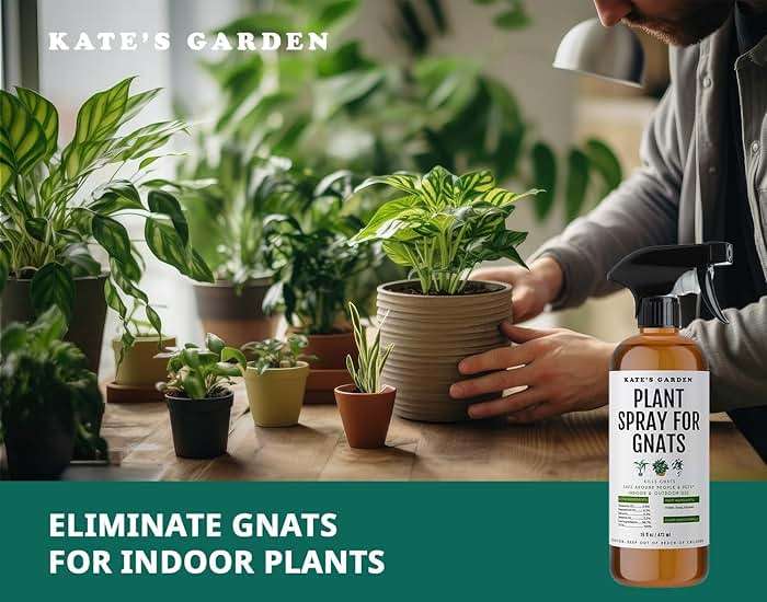 Kate's Garden Plant Spray for Insects & Getting Rid of Gnats. Fungus Gnat Killer & Bug Spray for Indoor Plants (16oz, Pet Safe, Non Toxic) - Image 7