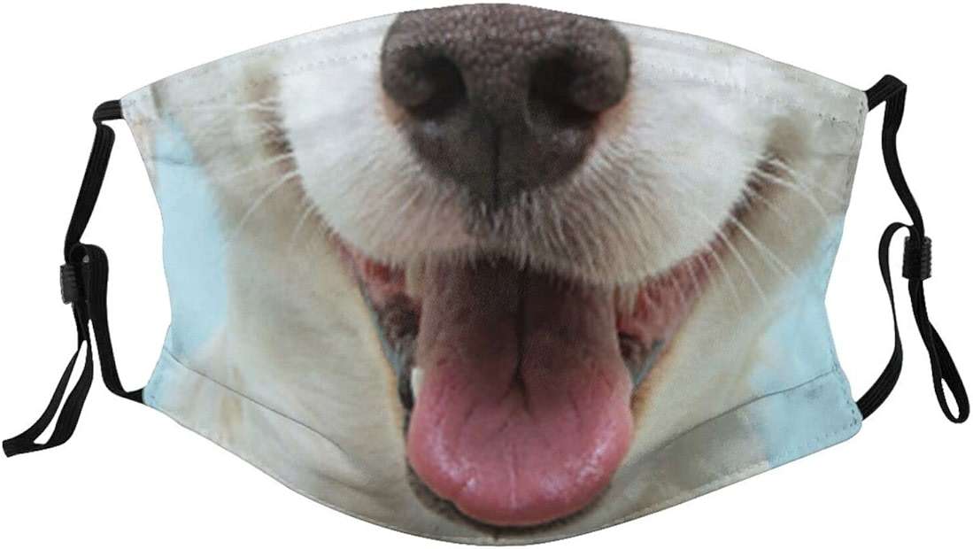 Funny Animals Mask Cartoon Aniaml Face Mask Cute Mask Adjustable Breathable with 2 filters for Women Men - Image 1