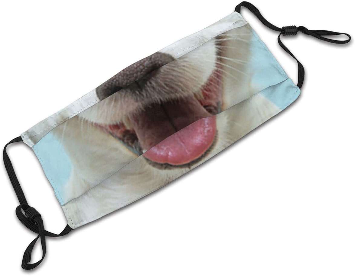 Funny Animals Mask Cartoon Aniaml Face Mask Cute Mask Adjustable Breathable with 2 filters for Women Men - Image 6