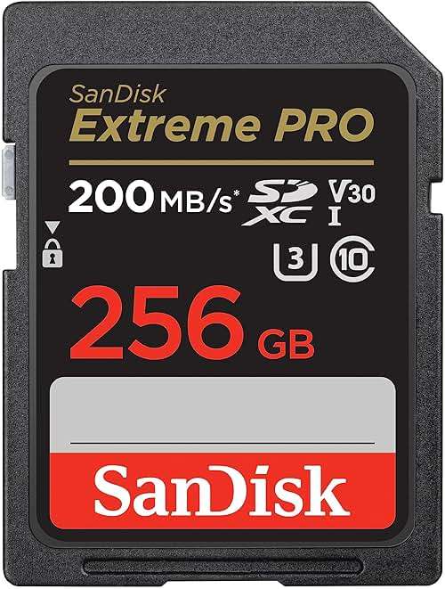 SANDISK 256GB Extreme PRO SDXC UHS-I Memory Card - C10, U3, V30, 4K UHD, SD Card - SDSDXXD-256G-GN4IN - Image 1
