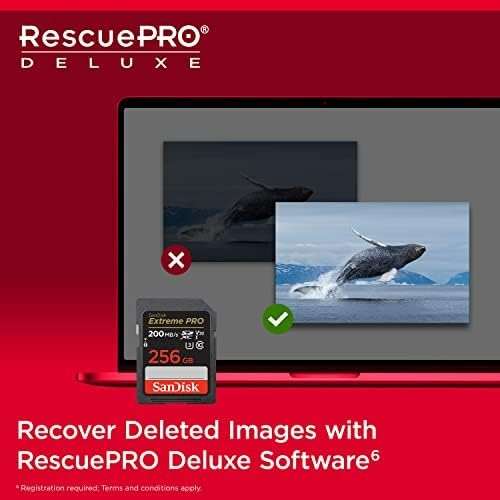 SANDISK 256GB Extreme PRO SDXC UHS-I Memory Card - C10, U3, V30, 4K UHD, SD Card - SDSDXXD-256G-GN4IN - Image 6