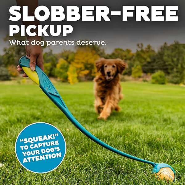 Outward Hound Launch A Ball Squeak Dog Ball Launcher, Interactive Fetch Toy, Squeaker Handle, Long-Distance Play, Slobber-Free Pickup - Image 4