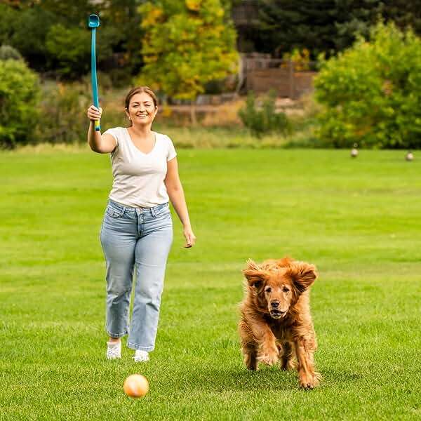 Outward Hound Launch A Ball Squeak Dog Ball Launcher, Interactive Fetch Toy, Squeaker Handle, Long-Distance Play, Slobber-Free Pickup - Image 5