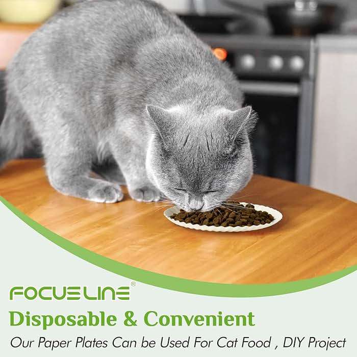 FOCUSLINE 6 Inch Paper Plates 1000 Count, White Paper Plates Uncoated, Everyday Disposable Dessert Plate 6" Small Plate Bulk 1000 Count - Image 6