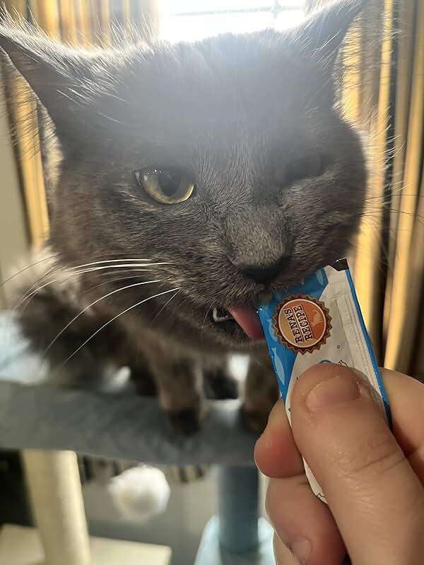 Rena's Recipe Kitty Licks Lickable Cat Treats Variety Pack, 28 Tubes | Creamy purée cat treats in 7 delicious flavors, including tuna and chicken. - Image 6